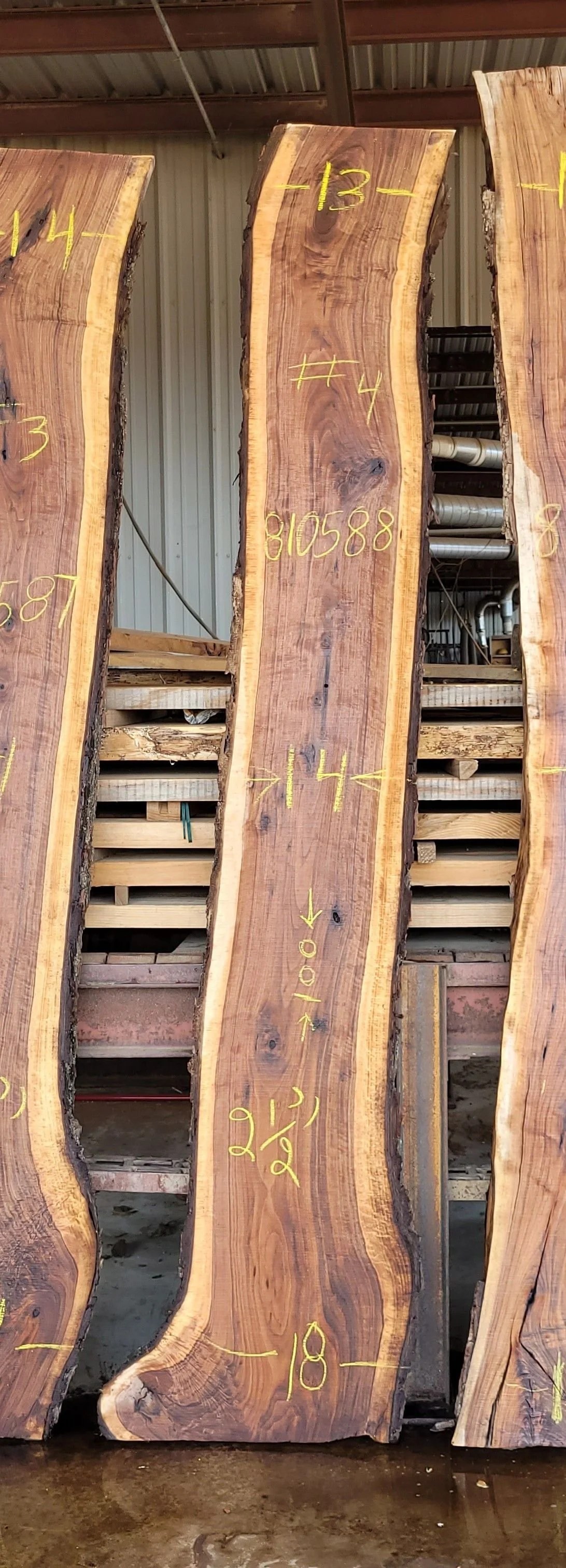 Black Walnut Slabs - Available — harden SAWMILL